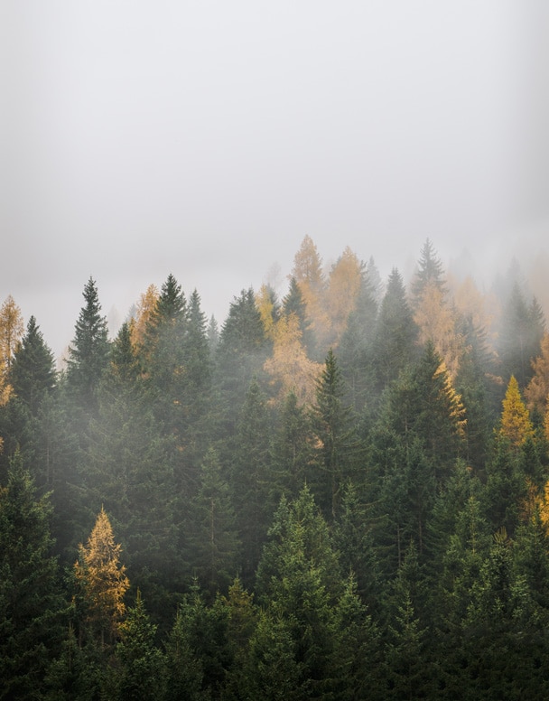 La natura della Val di Fassa è la prima ispirazione del nostro lavoro.